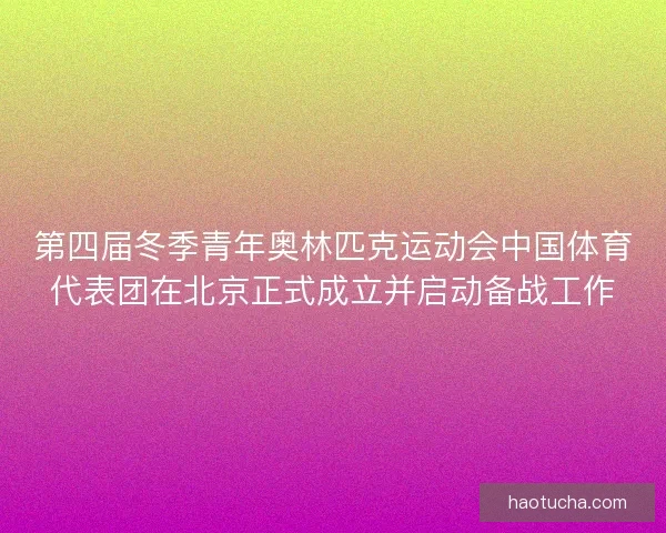 第四届冬季青年奥林匹克运动会中国体育代表团在北京正式成立并启动备战工作 第四届冬季青年奥林匹克运动会中国体育代表团在北京正式成立并启动备战工作
