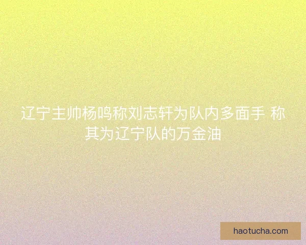 辽宁主帅杨鸣称刘志轩为队内多面手 称其为辽宁队的万金油